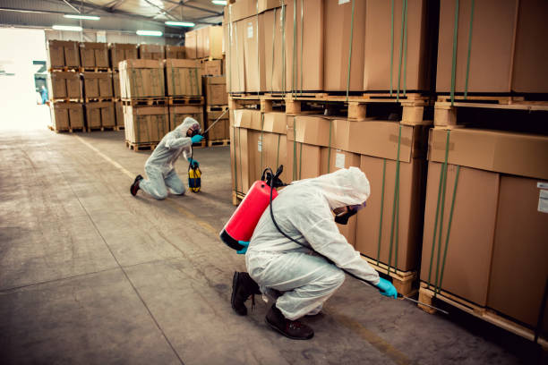 Best Best Pest Control Companies  in Port St John, FL