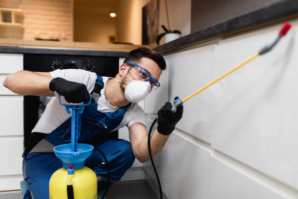 Best Wasp Removal Services  in Port St John, FL