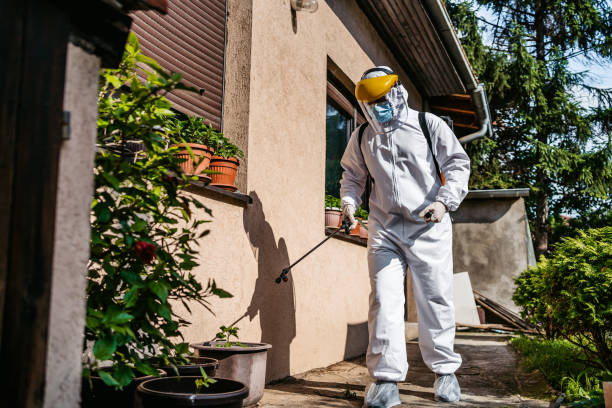 Best Exterminator Services  in Port St John, FL
