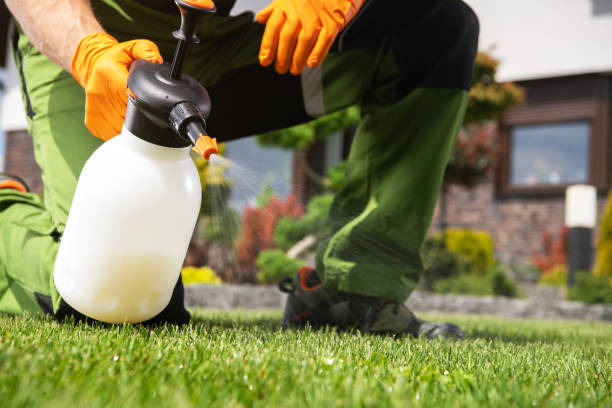 Trusted Port St John, FL Pest Control Experts