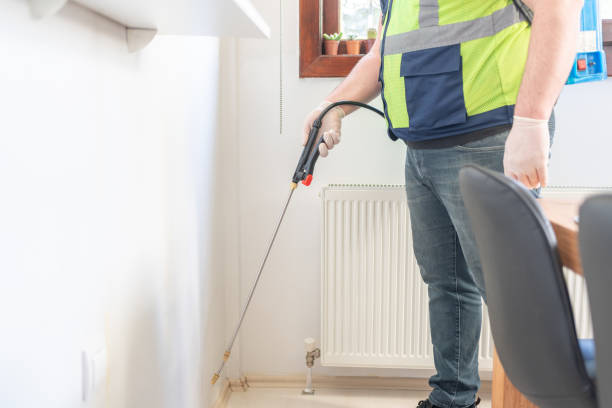 Best Local Pest Control Services  in Port St John, FL