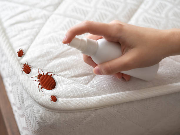 Best Pest Removal Services  in Port St John, FL